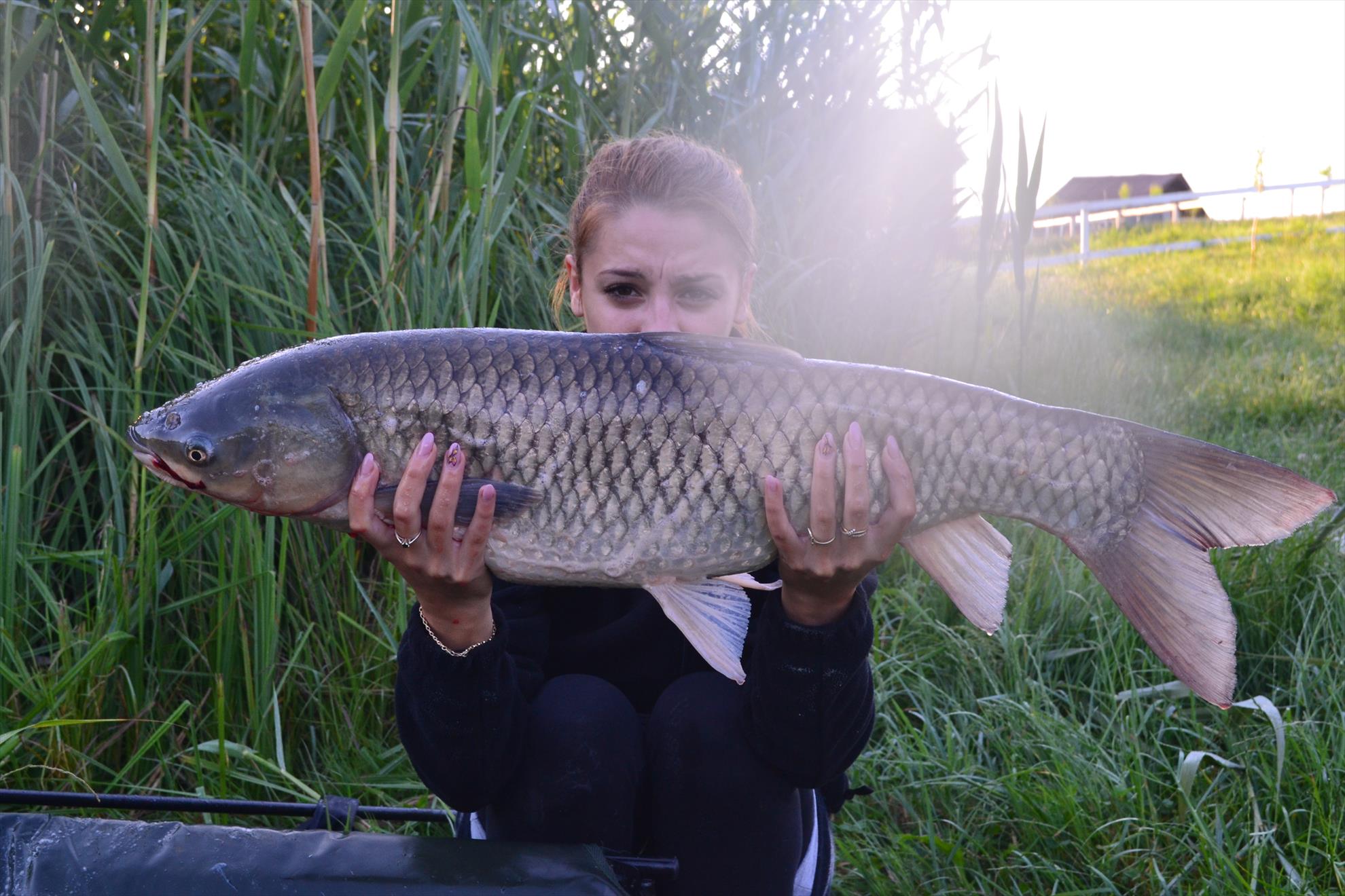 Pescuit Balta Lazar 6-8 iunie 2014 - dsc0016.JPG